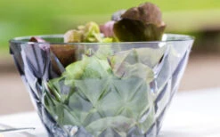 Koziol Bol à Portions Crystal S 500 Ml.