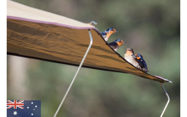 Gordigear Tente De Toit 140 Plus Pour 2 Personnes Avec Auvent 140 X 320 Cm Gris – Image 7